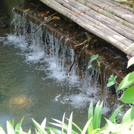 Baan Rai Me Rak Organic Farmstay Pa Khlok Exterior foto